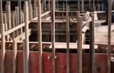林頓全自動(dòng)洗車機(jī)與客戶上下密切協(xié)作！兩套全自動(dòng)洗車機(jī)設(shè)備水池（隧道機(jī)基礎(chǔ)）現(xiàn)已施工完畢